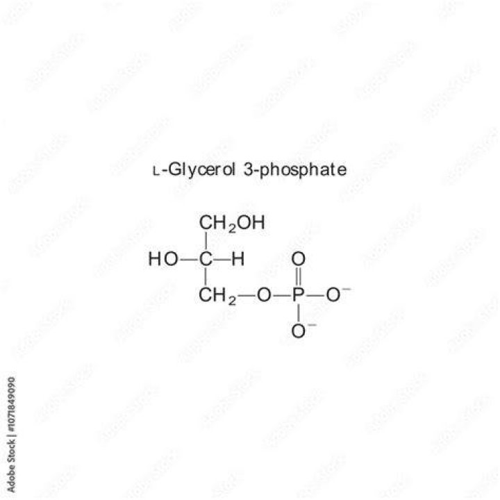 Is glycerol a phosphate gap 3?