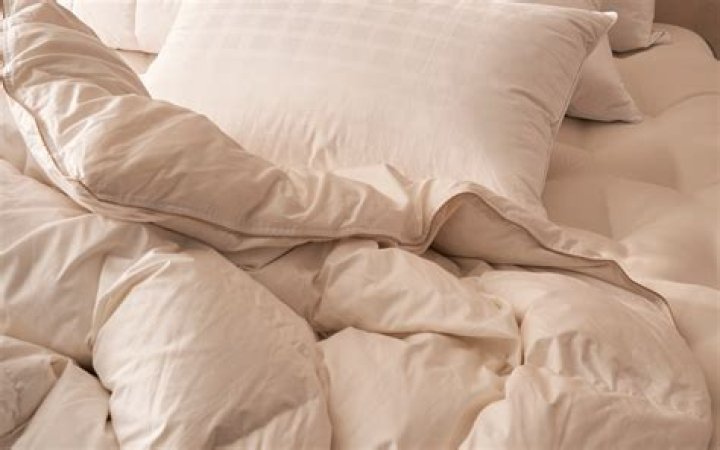 Is Hungarian goose down the best duvet?