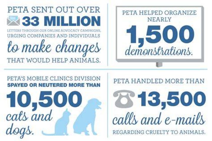 Is PETA a good organization to donate to?