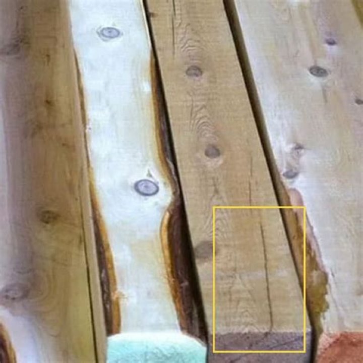 Should I peel cedar posts?