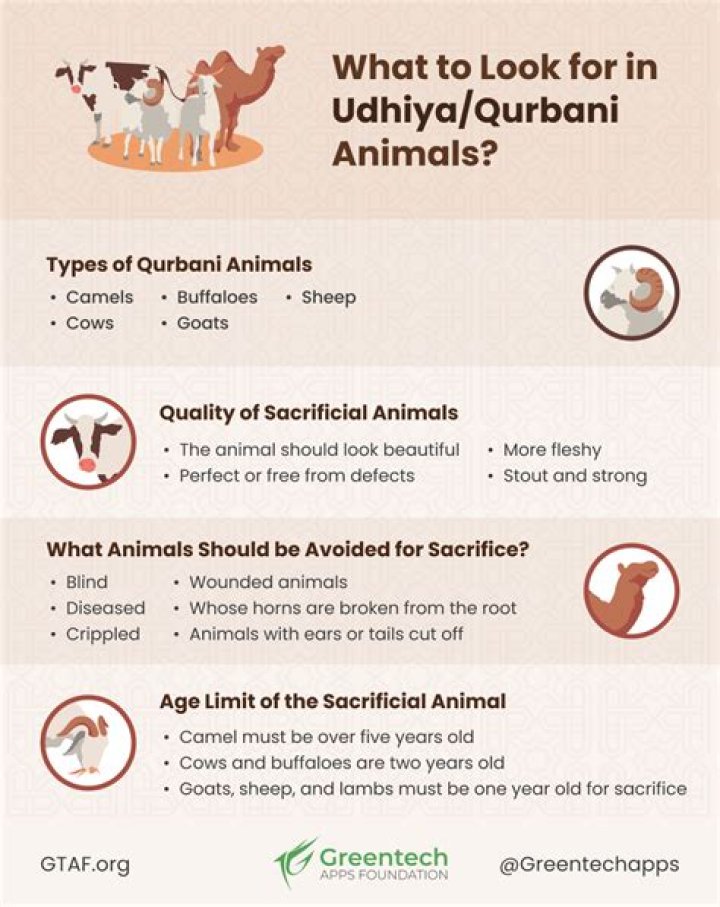 What animals can be used for Qurbani?