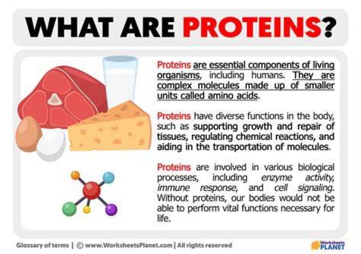 What are 2 examples proteins?