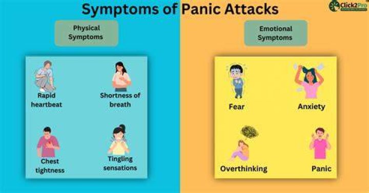 What are 3 types of panic attacks?