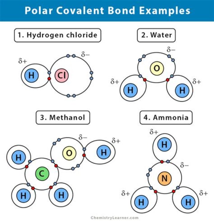 What are 5 examples of polar covalent bonds?