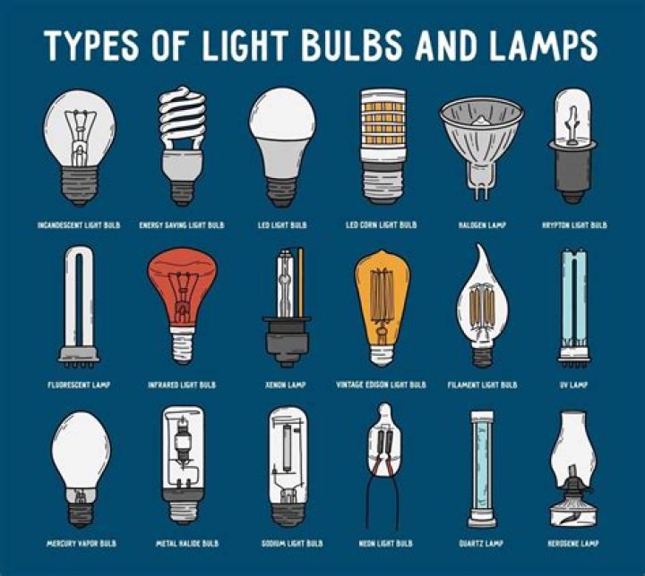 What are all the different types of light bulbs?