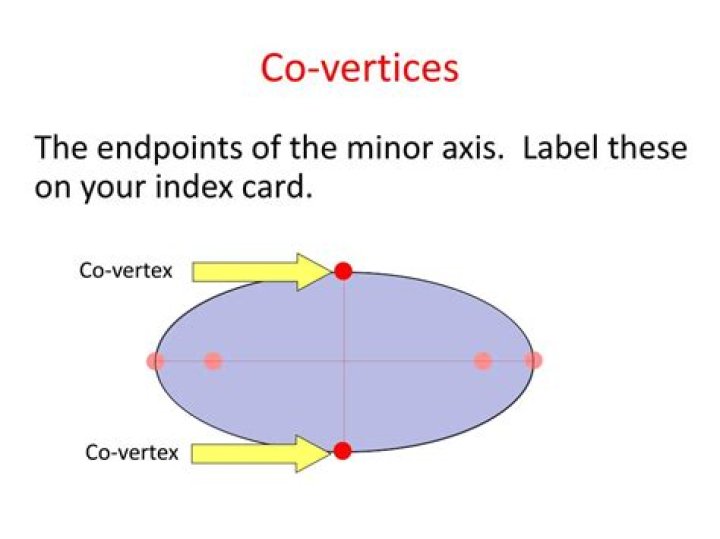 What are co vertices?