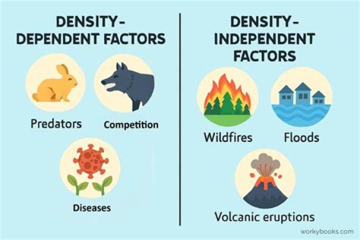 What are density values?