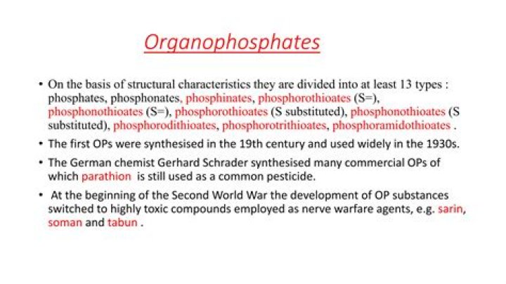 What are examples of organophosphates?