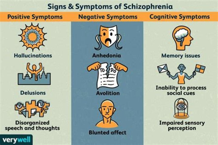 What are examples of positive and negative symptoms of schizophrenia?