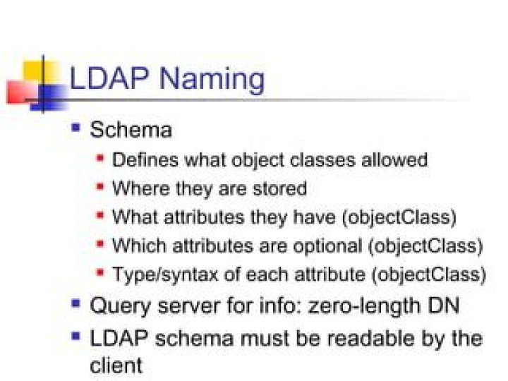 What are LDAP attributes?