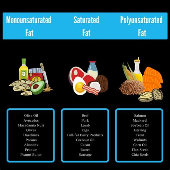What are monounsaturated fats in nutrition?