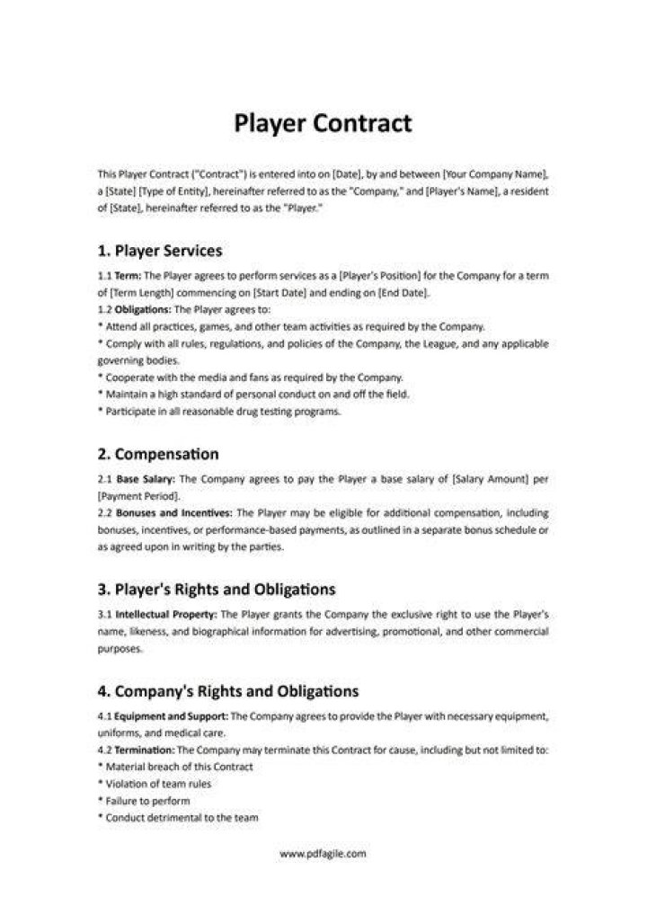 What are player contracts?