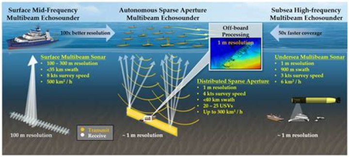 What are sea fans used for?