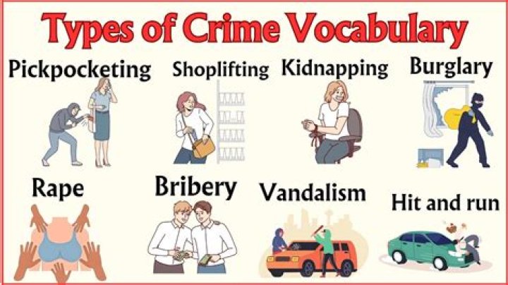 What are the 3 types of property crimes?