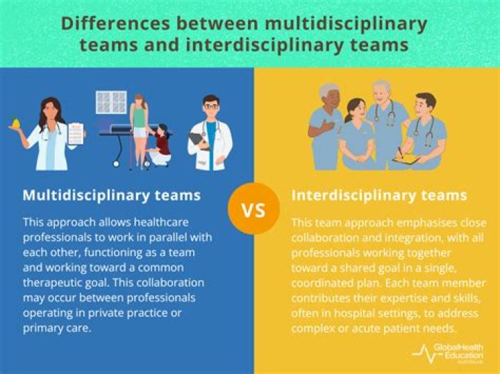 What are the challenges of working in a multidisciplinary team?