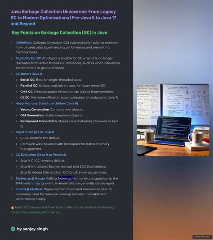 What are the Java options?