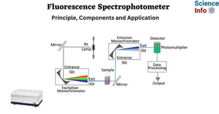 What are the main components of the Spectrofluorometer?