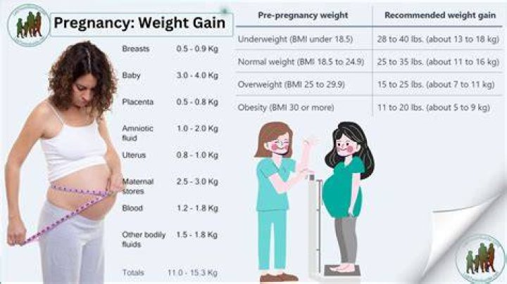 What are the main factors of weight gain during pregnancy?