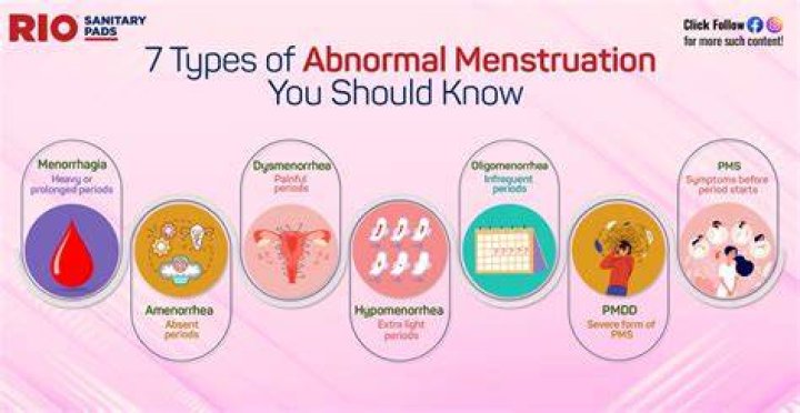 What are the menses?