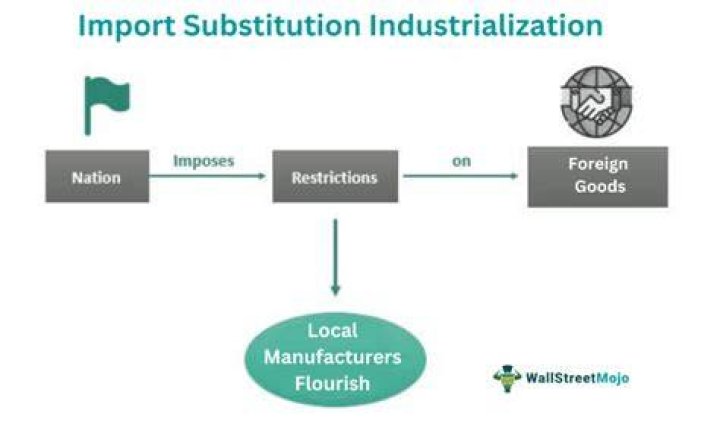 What are the reasons for import substitution?