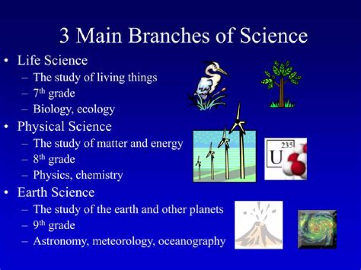 What are the sub branches of the 3 main branches of science?