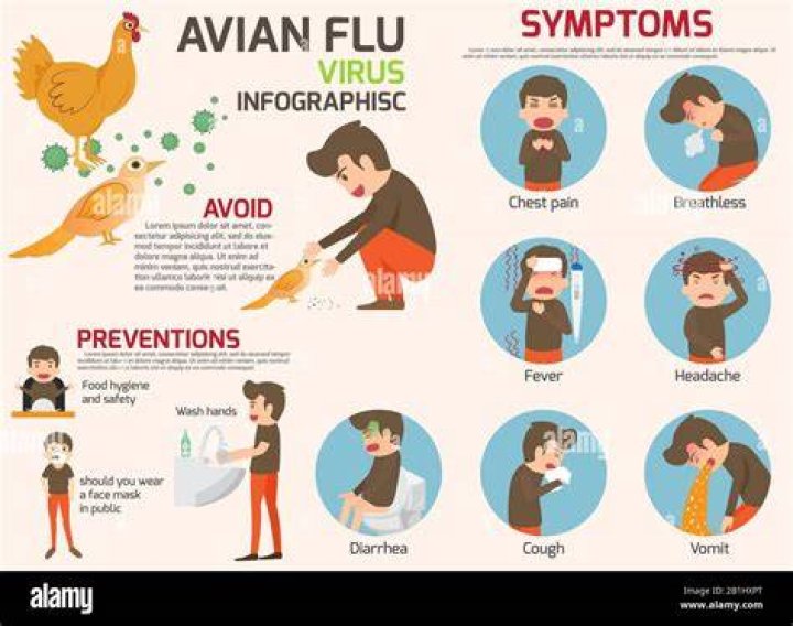 What are the symptoms of bird flu in humans?