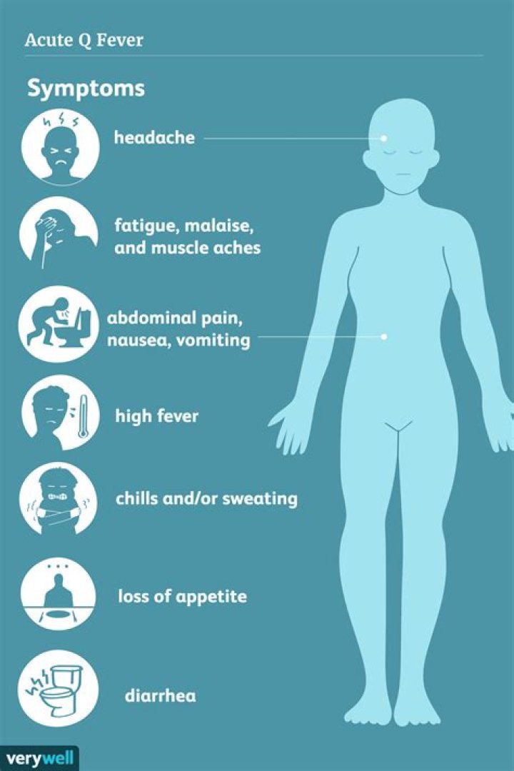 What are the symptoms of Q fever in humans?