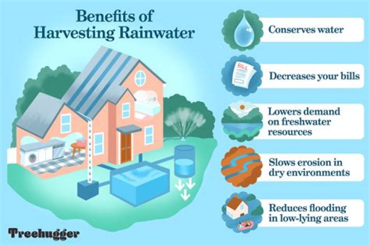 What are the techniques of rainwater harvesting?