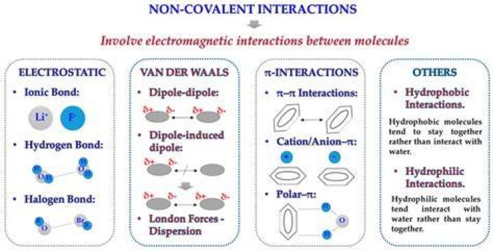 What are types of noncovalent interactions?