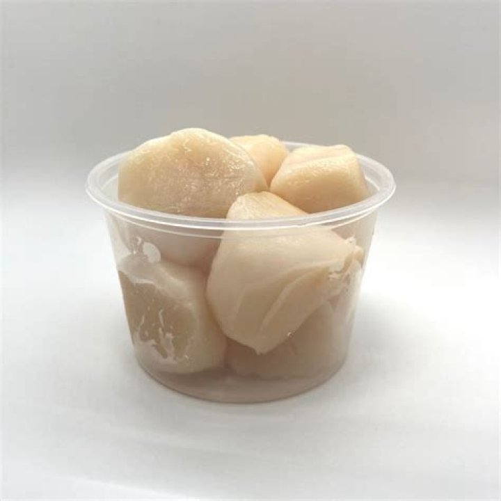 What are u8 scallops?