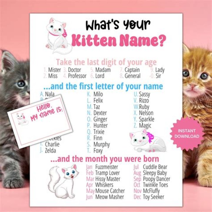 What can I name my noodles?
