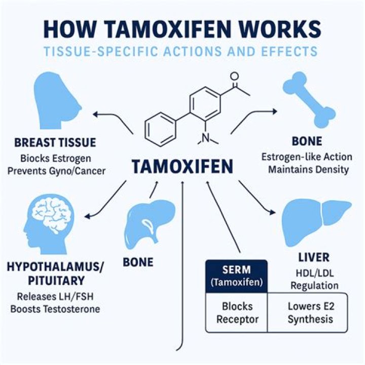 What can I replace tamoxifen with?