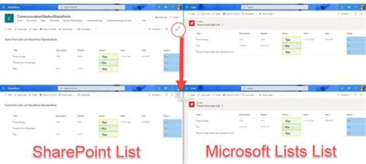 What can you do with lists in SharePoint?