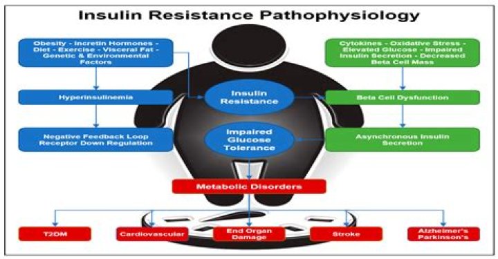 What causes insulin resistance syndrome?