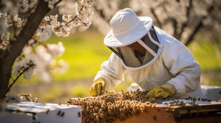 What color do beekeepers avoid wearing?