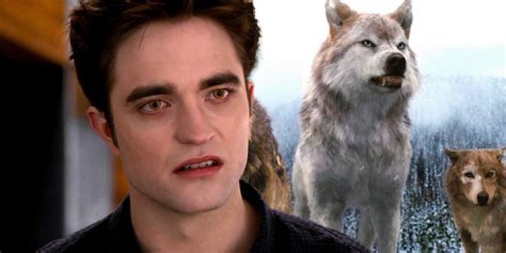 What did Edward say to the wolves in Breaking Dawn?