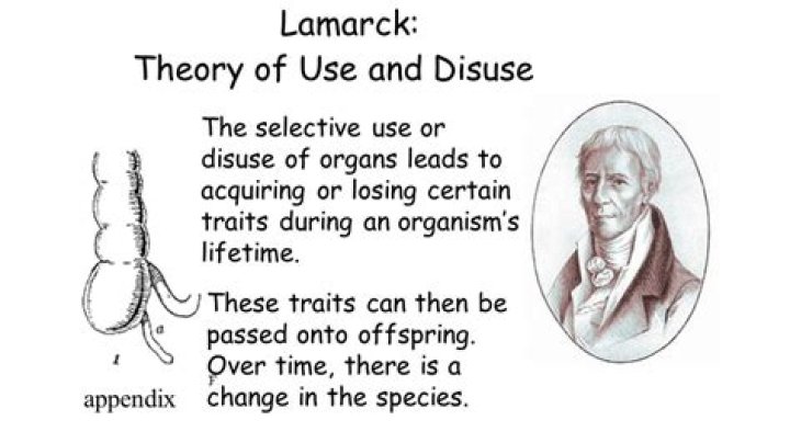 What did Lamarck say that was incorrect?