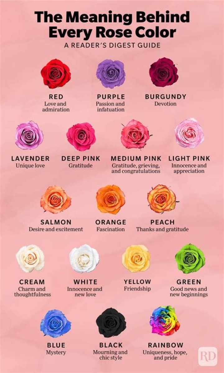 What do roses mean in Korea?