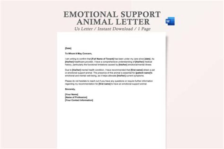 What do you write in a Housing support letter?