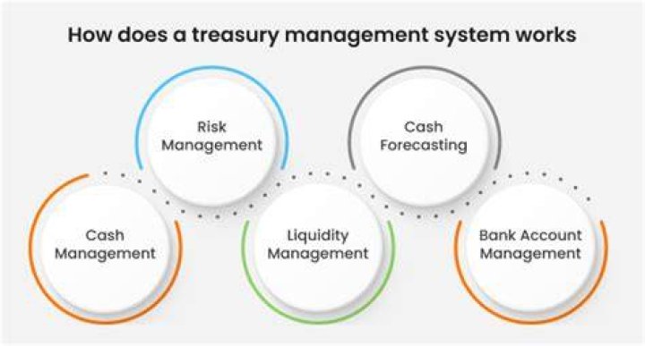 What does a treasury management system do?