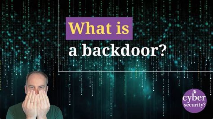 What does Backdoored mean in slang?