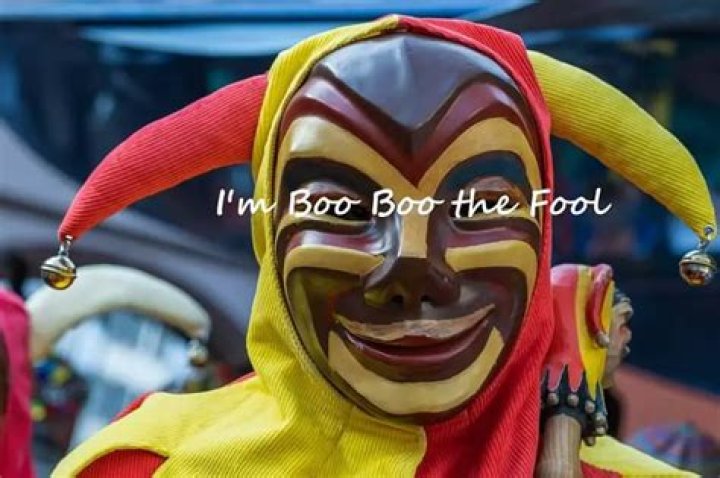What does damn fool mean?