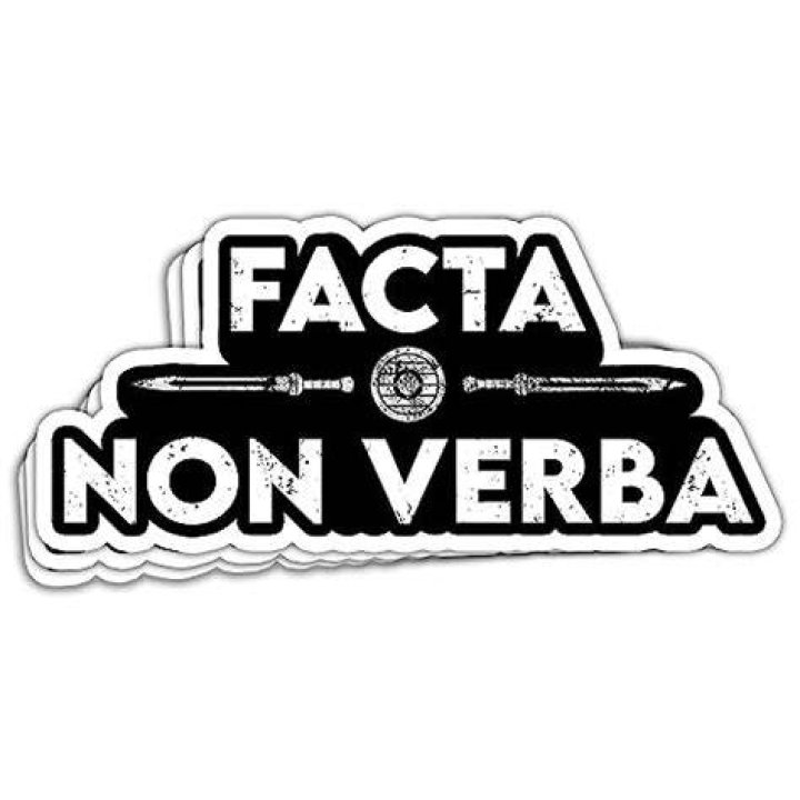 What does Facta Non Verba mean?