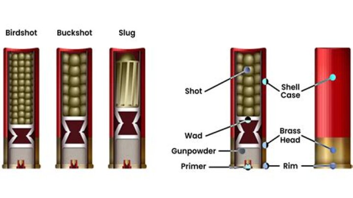 What does gauge mean in shotgun terms?