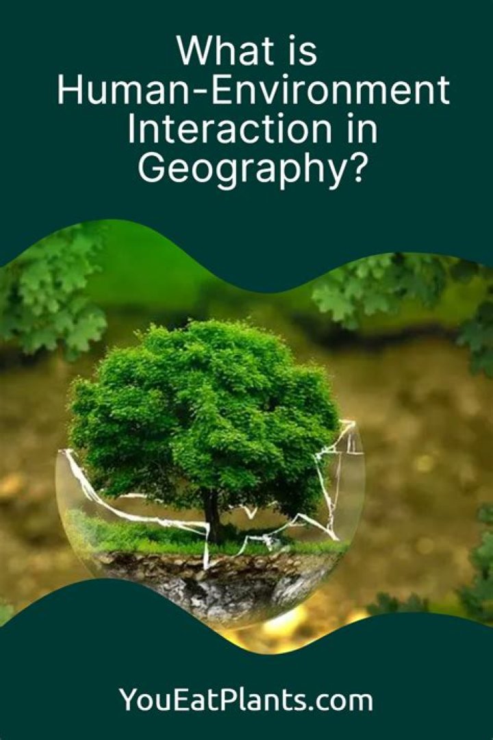 What does human-environment interaction mean in the 5 themes of geography?