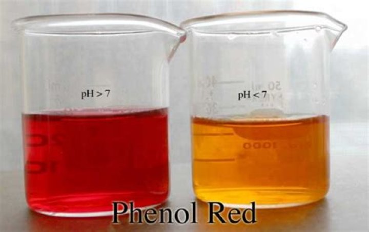 What does phenol red measure?