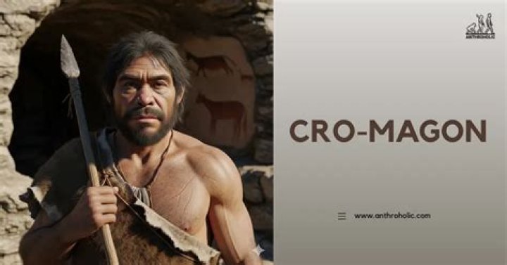 What does the CRO protein do?