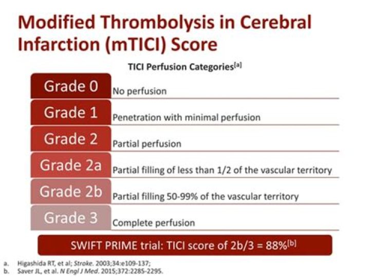 What does TICI 3 mean?