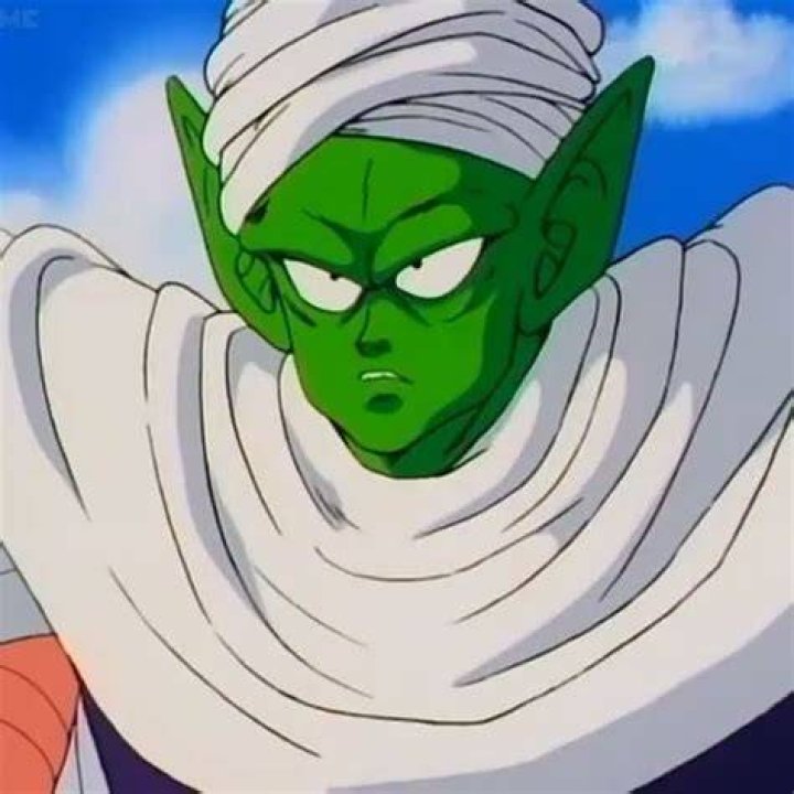What episode is Piccolo Jr saga?