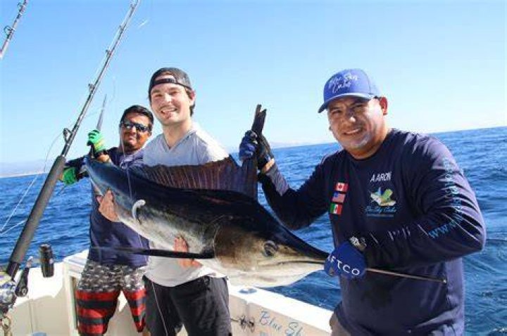 What fish are they catching at captree?